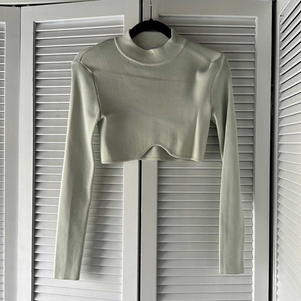 Zara long sleeve crop top